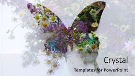  Presentation with butterfly - Cool new slide deck with purple butterflies - double exposed image of butterfly backdrop and a lemonade colored foreground