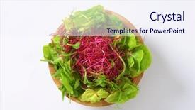  Presentation with salad - Colorful presentation theme enhanced with purple cabbage - overhead view two color salad backdrop and a sky blue colored foreground