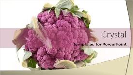  Presentation with cauliflower - PPT layouts consisting of purple-cauliflower-isolated-on-white background and a violet colored foreground
