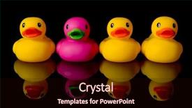  Presentation with duck - Cool new presentation theme with purple duck surrounded by yellow ducks - illustration of individuality backdrop and a wine colored foreground