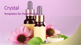  Presentation with essence - Theme featuring purple echinacea on pink background and a lemonade colored foreground