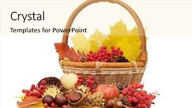  Presentation with autumn leaves - PPT layouts consisting of purple edge - autumn leaves and fruits isolated background and a blonde colored foreground