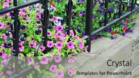  Presentation with medieval iron doors stone castle - Slide deck with purple edge - iron fence stone wall background and a light gray colored foreground