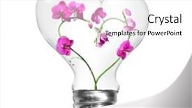  Presentation with light bulb - Beautiful PPT theme featuring purple electrical power plant - natural energy concept light bulb backdrop and a  colored foreground