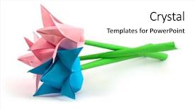  Presentation with white lotus flower - Slides with paper flower isolated on white background and a  colored foreground