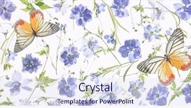  Presentation with purple butterfly - Slide deck consisting of purple flower petals leaves background and a sky blue colored foreground