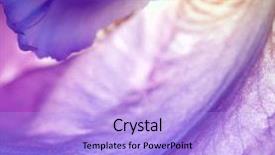  Presentation with iris - Cool new slides with microsoft - mobility and business telecommunication technology backdrop and a light blue colored foreground.