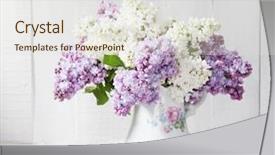  Presentation with purple wall - Beautiful theme featuring purple flowers - lilac bouquet in ceramic jug backdrop and a sky blue colored foreground