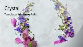  Presentation with purple flowers - Cool new presentation theme with purple frame with flowers backdrop and a sky blue colored foreground