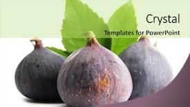  Presentation with isolated fall oak leaf - PPT layouts having purple fruit - ripe sweet figs with leaves background and a  colored foreground