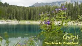  Presentation with geranium - Amazing presentation design having purple-geranium-by-the-karersee backdrop and a tawny brown colored foreground