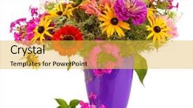  Presentation with bright colorful candy isolated - PPT theme having purple green - beautiful bouquet of bright flowers background and a yellow colored foreground