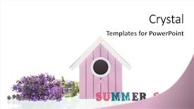  Presentation with white house - Slides enhanced with purple lavender with pink bird background and a white colored foreground