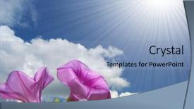  Presentation with blue flower - PPT theme with purple morning glory flower background and a light blue colored foreground