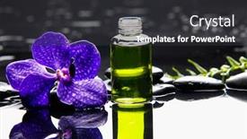  Presentation with fern - Colorful PPT theme enhanced with orchid with fern and stone backdrop and a dark gray colored foreground