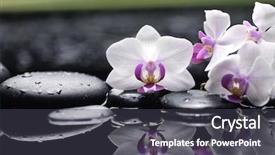  Presentation with hacker in pink and black - Amazing slide deck having purple orchids - branch pink orchid and black backdrop and a dark gray colored foreground