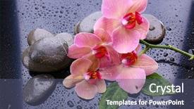  Presentation with water drops - Colorful presentation theme enhanced with sandbar shark carcharhinus plumbeus marine backdrop and a  colored foreground.