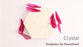  Presentation with minimal - Presentation theme with purple-pion-flowert-petal background and a pink colored foreground