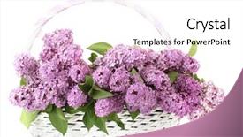  Presentation with flower beautiful lilac border - Slide deck featuring young pretty girl listening to music on the floor in her room background and a mint green colored foreground