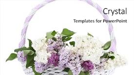  Presentation with flower beautiful lilac border - Presentation consisting of purple ribbon - beautiful lilac flowers in basket background and a  colored foreground