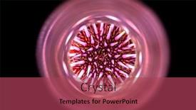  Presentation with sea animals - Slide set having purple-sea-urchin-shot background and a red colored foreground