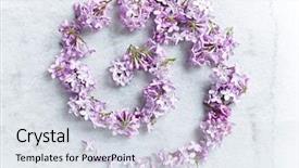  Presentation with gray marble - Amazing presentation design having purple spiral - arrangement of lilac flowers backdrop and a  colored foreground