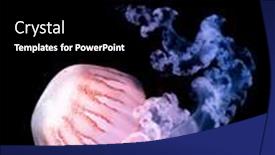  Presentation with jellyfish - Amazing presentation theme having purple-striped-jellyfish-chrysaora-colorata backdrop and a black colored foreground