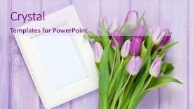  Presentation with tulip - Cool new PPT layouts with purple tulip bouquet and blank backdrop and a sky blue colored foreground