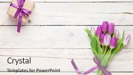  Presentation with purple flowers - Colorful slide set enhanced with purple tulips and gift box backdrop and a sky blue colored foreground