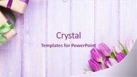  Presentation with tulip - Slide set featuring purple tulips and gift boxes background and a sky blue colored foreground