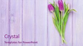  Presentation with wooden board empty table top - Slide set having purple tulips bouquet on wooden background and a sky blue colored foreground