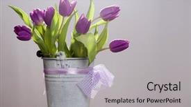  Presentation with retro paintbrush retro paintings artistic - PPT layouts consisting of purple tulips in retro bucket background and a light gray colored foreground