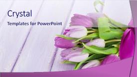  Presentation with tulips - Audience pleasing presentation design consisting of purple tulips on wooden table backdrop and a sky blue colored foreground