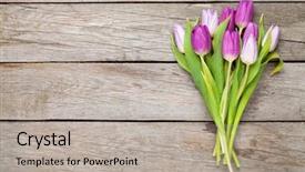  Presentation with copy space - Beautiful slides featuring purple tulips over wooden table backdrop and a light gray colored foreground