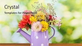  Presentation with purple green - Theme featuring purple watering can with white polka-dot with flowers on green background background and a soft green colored foreground