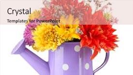  Presentation with purple flowers - Colorful PPT layouts enhanced with purple watering can with white polka-dot with flowers isolated on white backdrop and a lemonade colored foreground