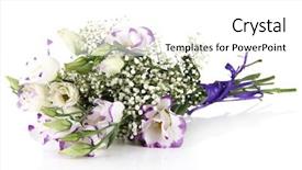  Presentation with white flowers - Slide set enhanced with purple wedding - bouquet of eustoma flowers isolated background and a white colored foreground