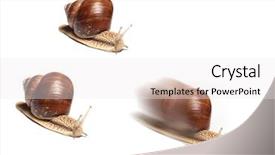  Presentation with racing - Presentation featuring pursue - snails racing - business metaphor background and a  colored foreground
