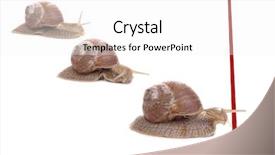  Presentation with finish line - Slides with pursue - three snails racing towards red background and a white colored foreground