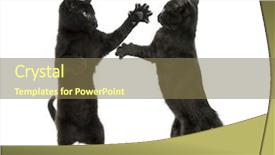 Presentation with two black women - Beautiful PPT theme featuring pursue - two black kittens fighting backdrop and a violet colored foreground