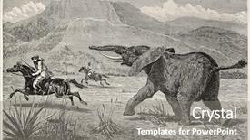  Presentation with wounded - Audience pleasing theme consisting of pursue - wounded elephant pursuing british explorer backdrop and a gray colored foreground