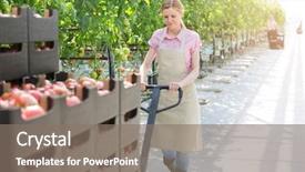  Presentation with pallet - Slide deck enhanced with pushing tomato crates on pallet background and a gray colored foreground