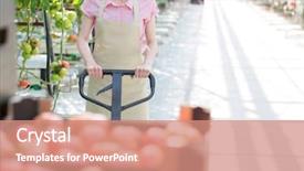  Presentation with pallet - Beautiful slide deck featuring pushing tomato crates on pallet backdrop and a coral colored foreground