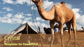  Presentation with rajasthan - 