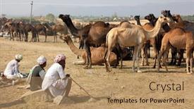  Presentation with fair - 