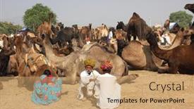  Presentation with fair - 