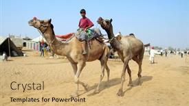  Presentation with fair - 