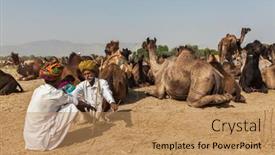  Presentation with livestock - 