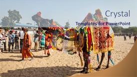  Presentation with livestock - Colorful slide set enhanced with pushkar-india-november-22-2012 backdrop and a sky blue colored foreground