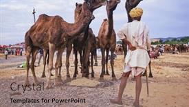  Presentation with rural india - Slides consisting of pushkar-india-november-6-2019 background and a coral colored foreground